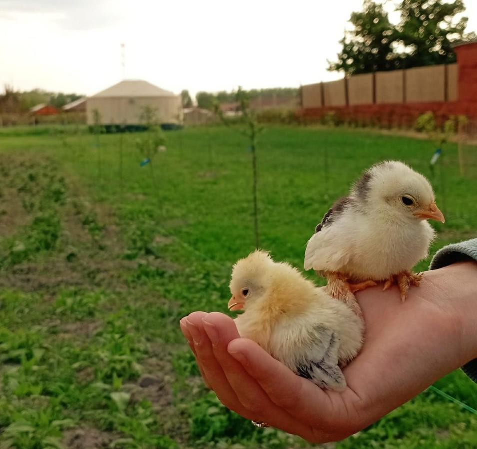 Отель Jurtafarm Rackeve - A Nomad Luxus Экстерьер фото