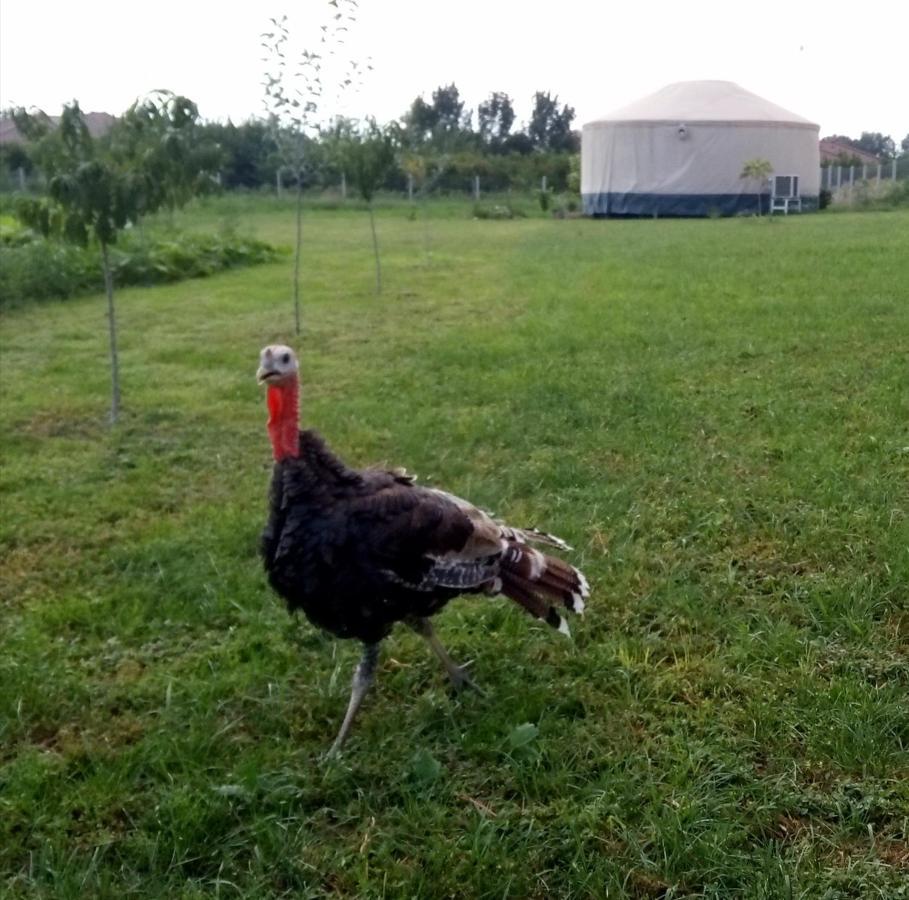 Отель Jurtafarm Rackeve - A Nomad Luxus Экстерьер фото